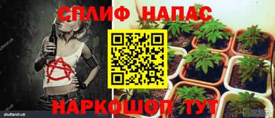мдпв Новокубанск