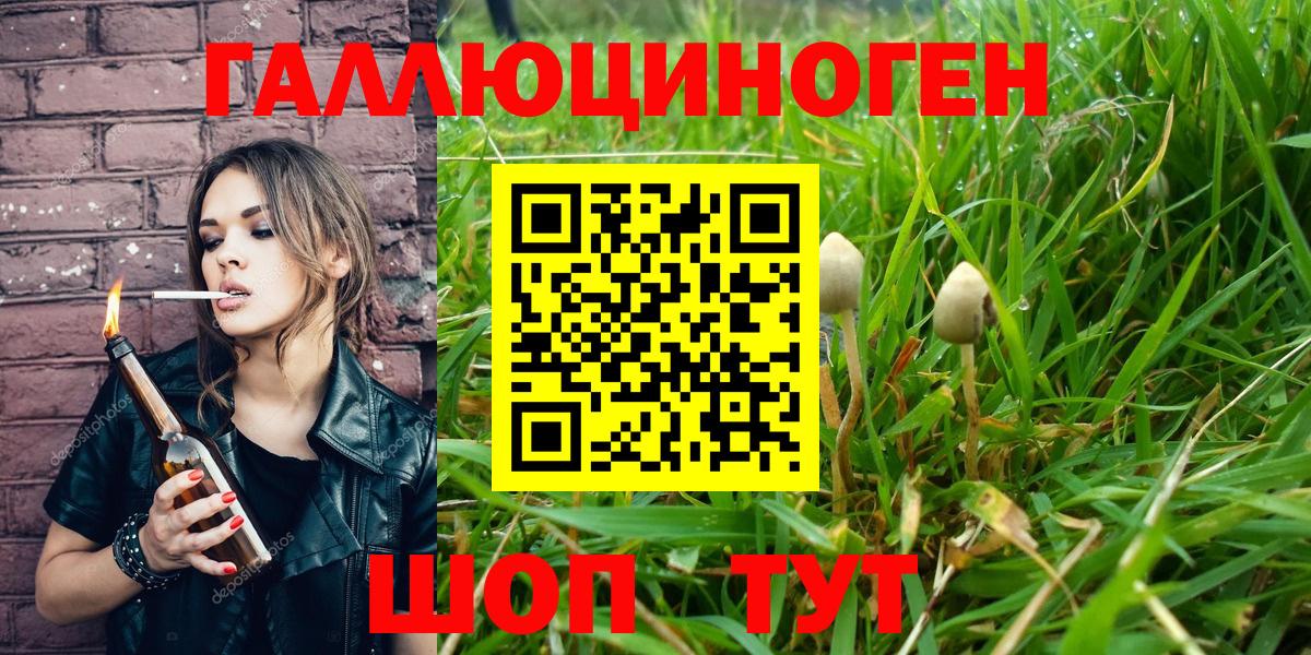 Псилоцибиновые грибы мицелий Советская Гавань